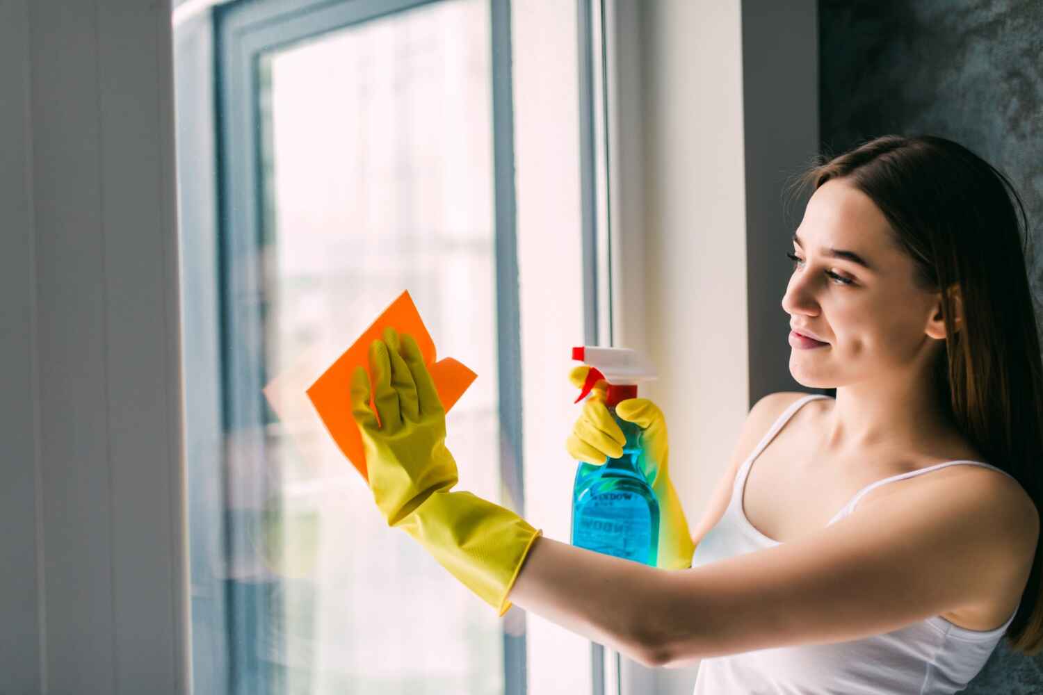 Professional Window Cleaning Services for Crystal Clear Views